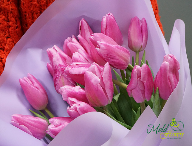 Розовые тюльпаны Фото